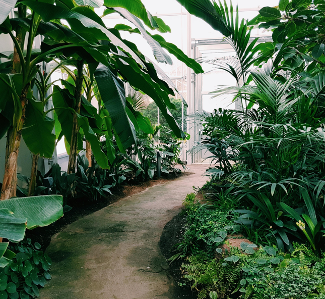 Ilustrasi Sertifikasi Green Building