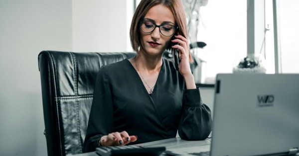 company director search